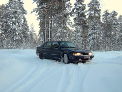 saab_koivu